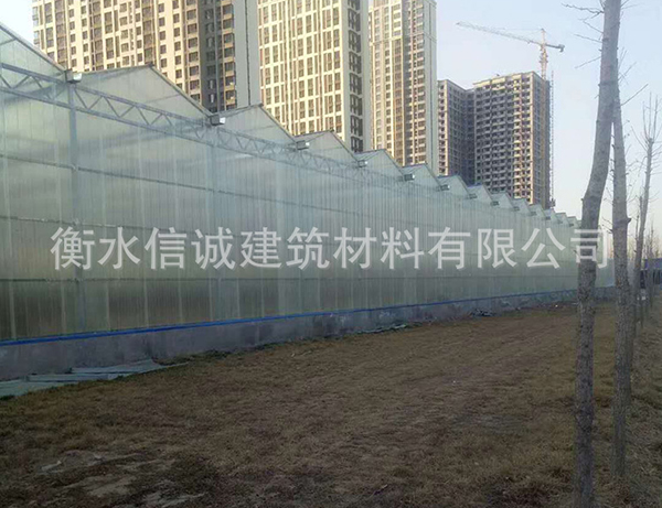 花卉園林溫室大棚陽光板