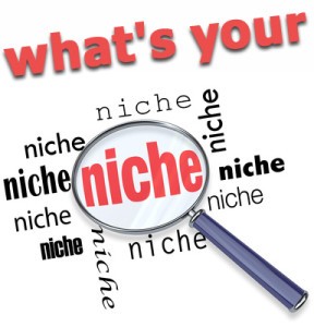 How to Increase Sales By Creating a Niche in Your Business